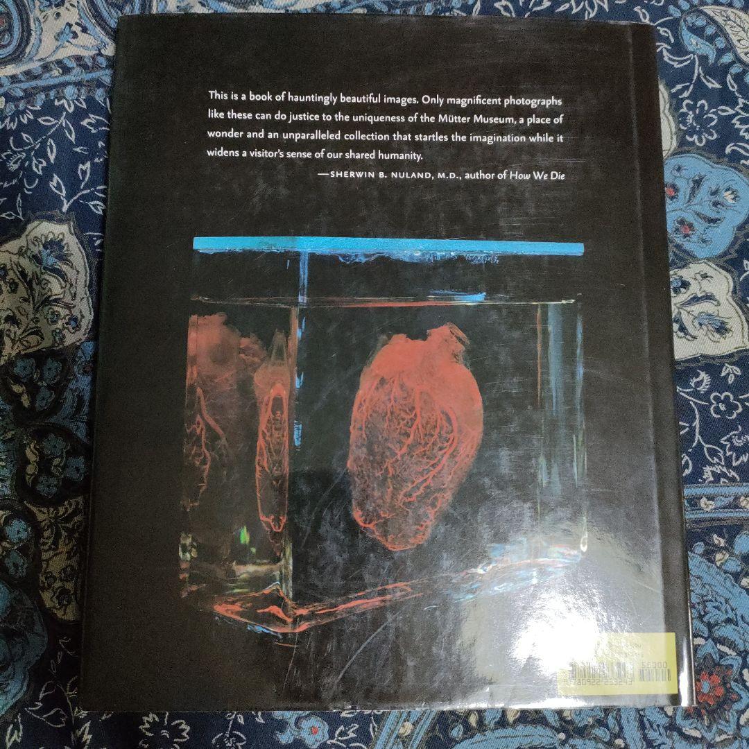 MUTTER MUSEUM ムッター　Muetter　医療　病理　解剖　奇形