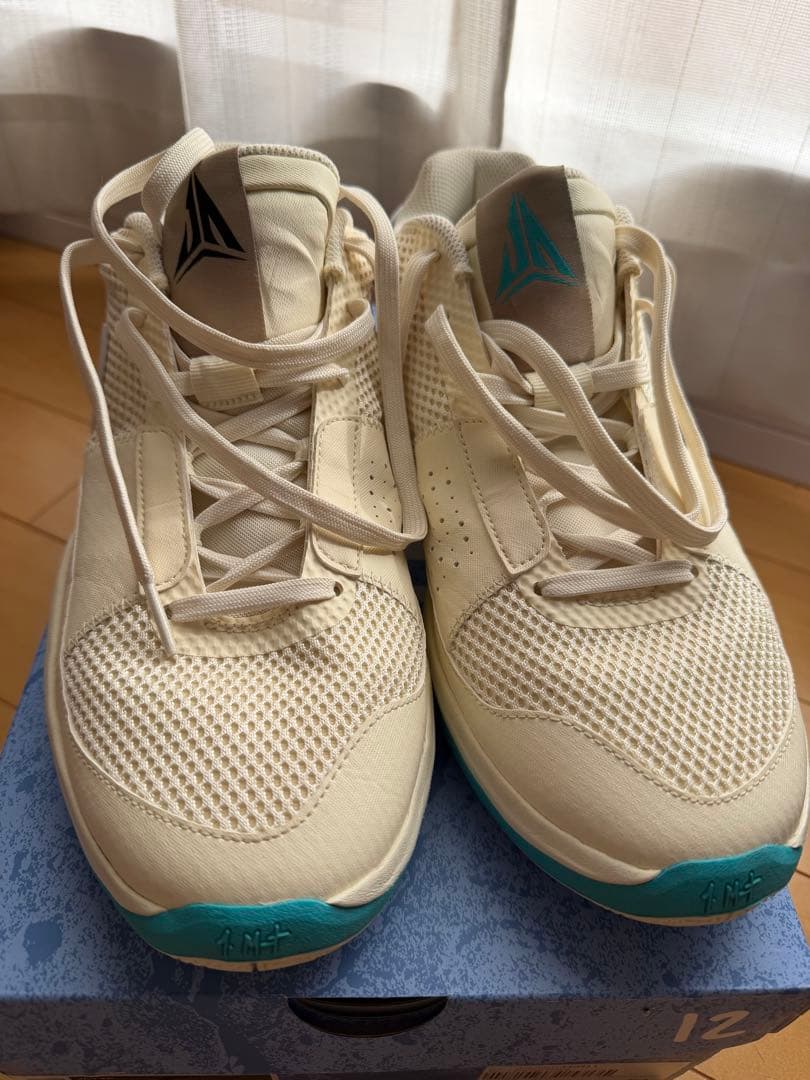 美品　NIKE JA 1 EP２８センチ