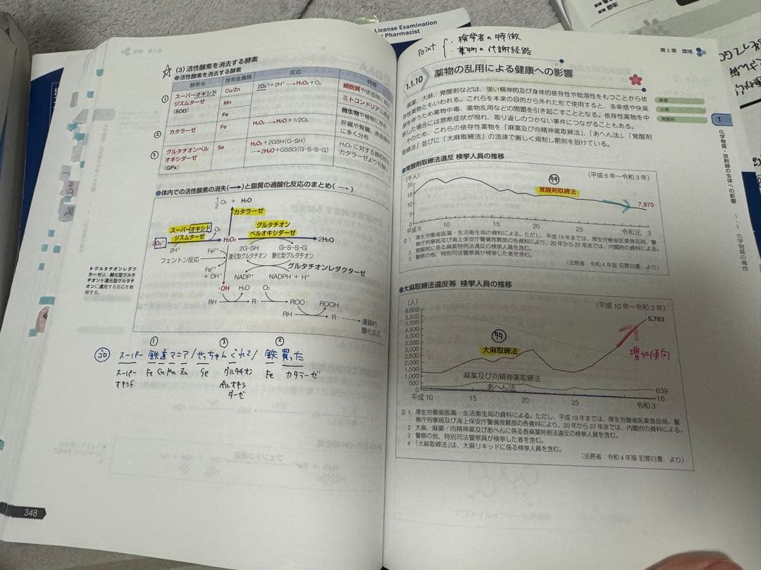 第110回薬剤師国家試験　青本・青問