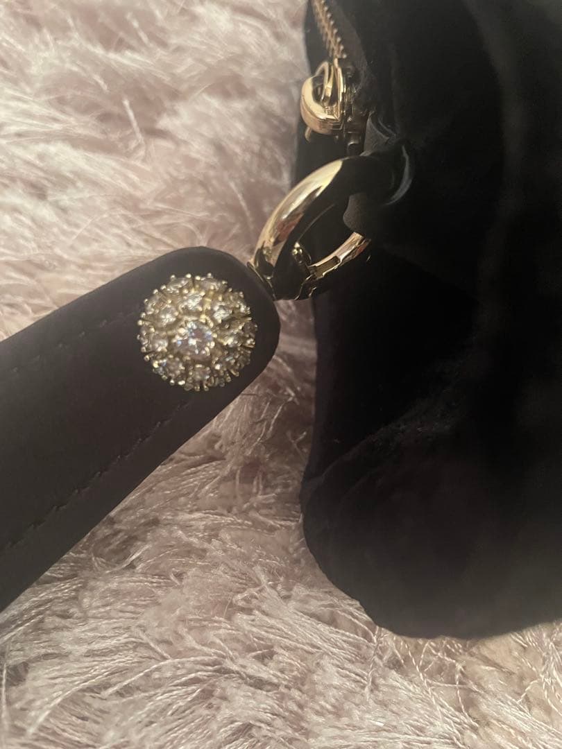 Kate spade ねこ　パーティバッグ