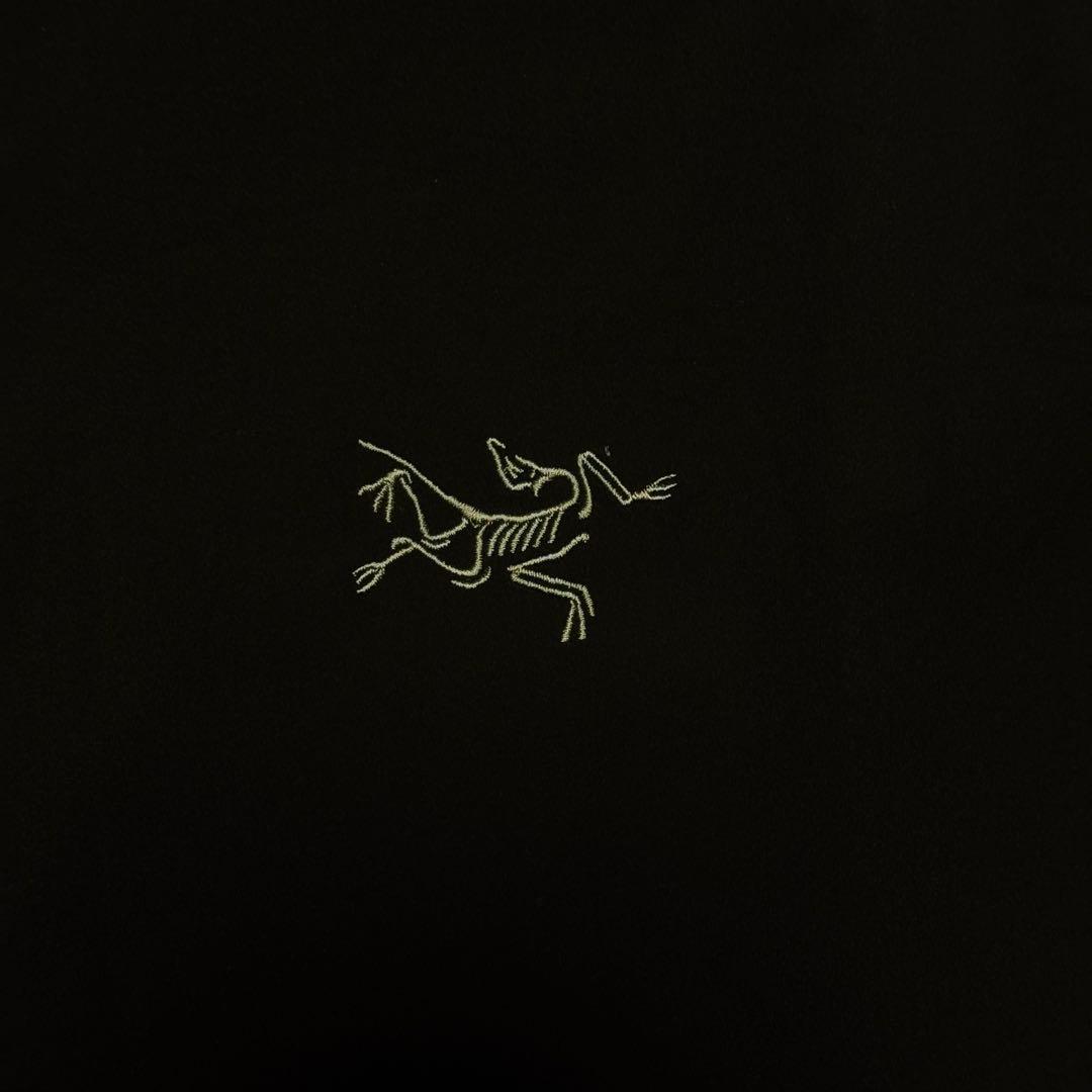 【極美品】メンズ Lサイズ Atom Vest BLK ARC'TERYX