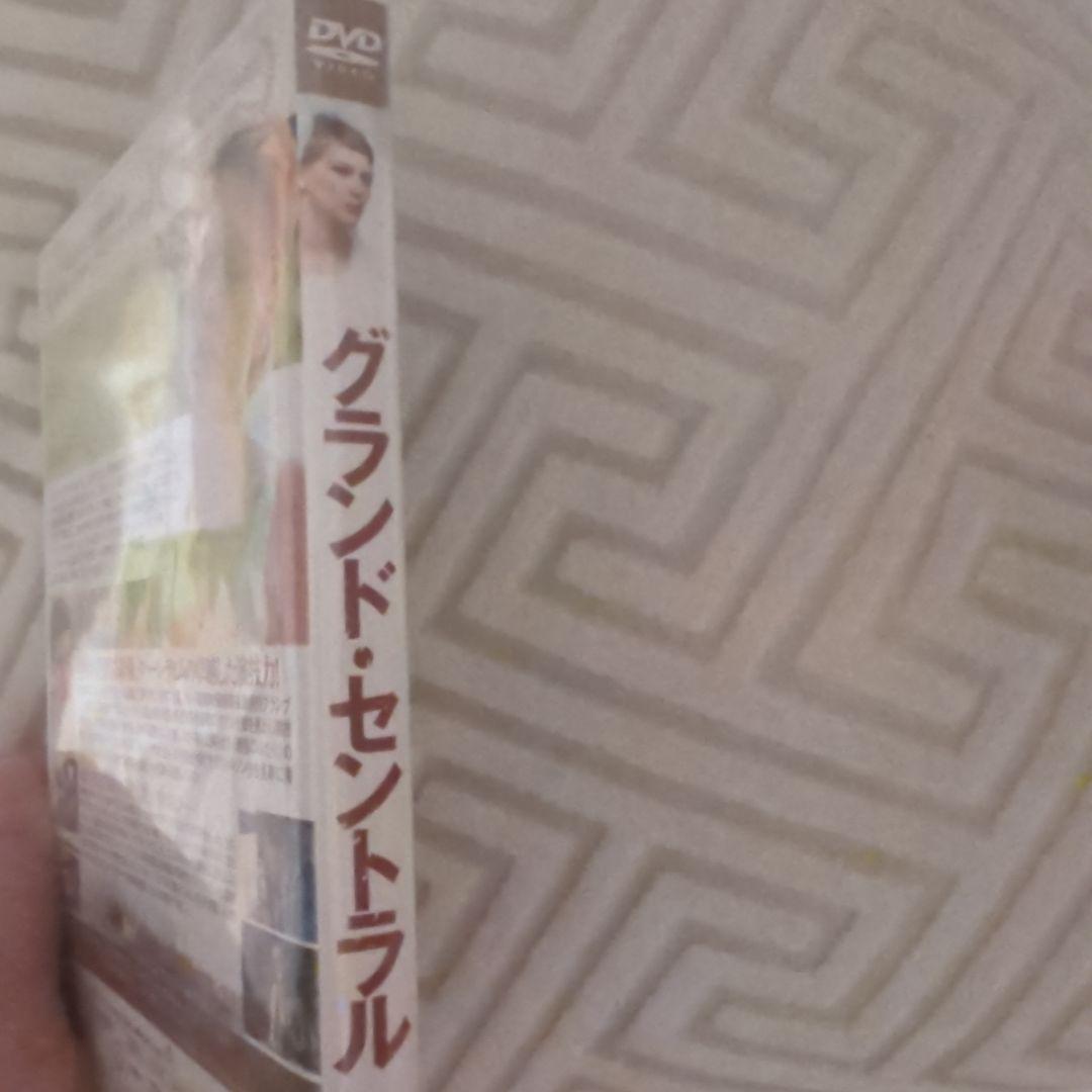 廃盤「グランド・セントラル」('13仏/オーストリア)DVD