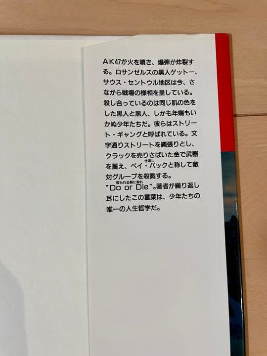 ストリートギャング　解説本