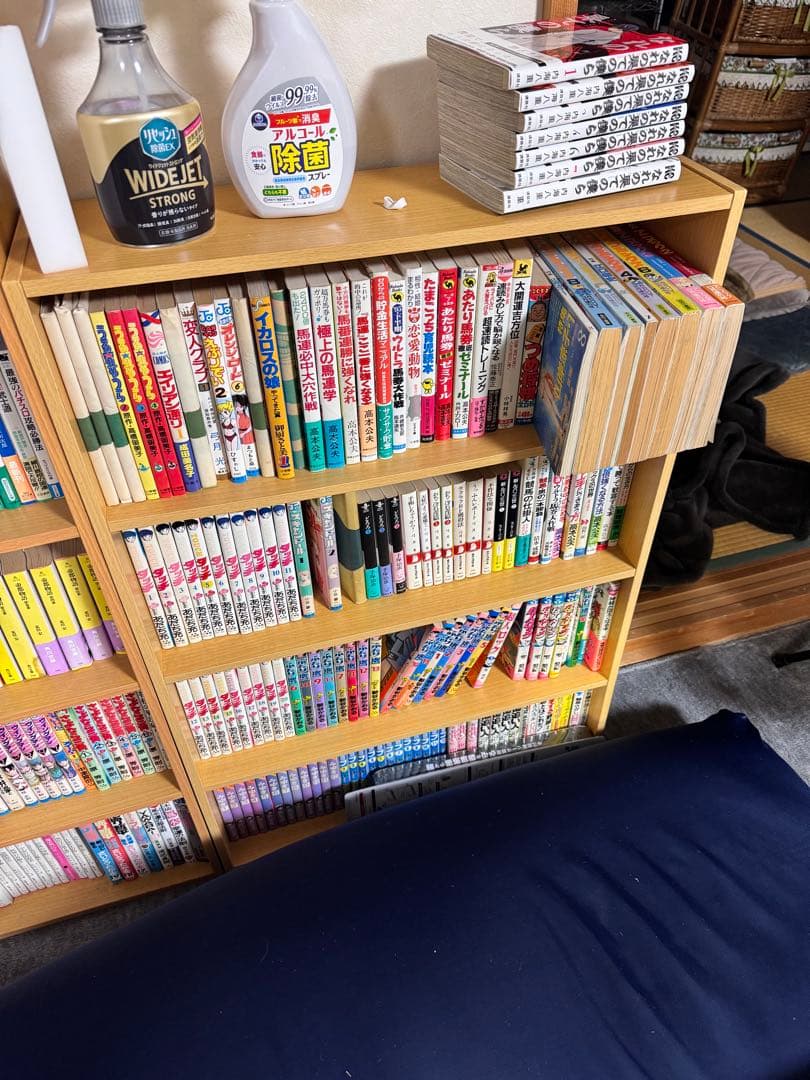 いきなり購入しないで下さい。少年少女漫画全巻セット多数、競馬本他