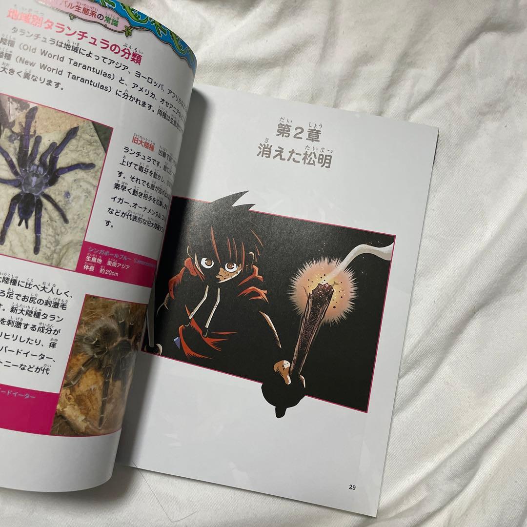 ジャングルのサバイバル 1 冒険の始まり