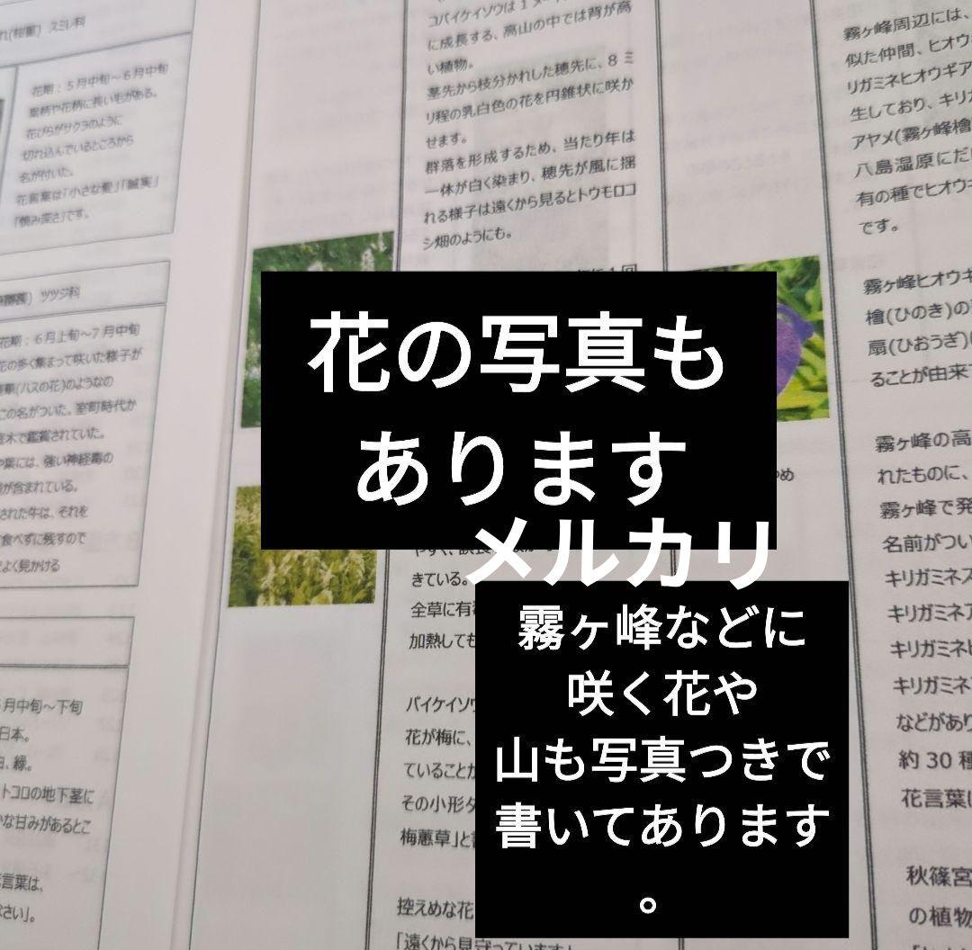 バスガイド　資料　教本　白樺湖　諏訪大社　諏訪湖　霧ヶ峰　車山　諏訪