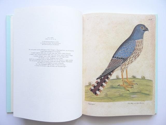 洋書◆鳥の画集 作品写真集 本 自然史