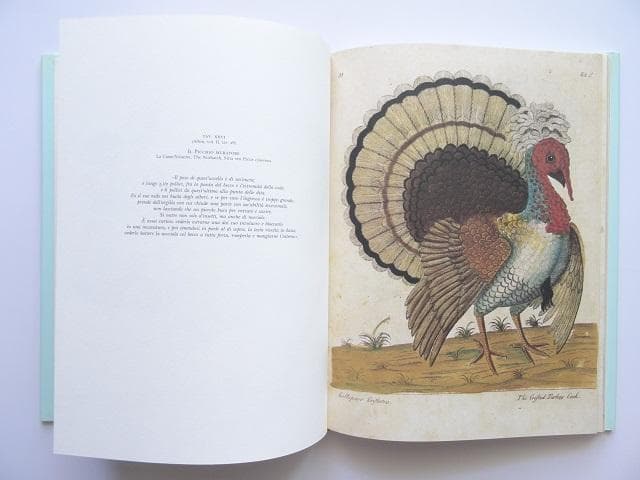 洋書◆鳥の画集 作品写真集 本 自然史
