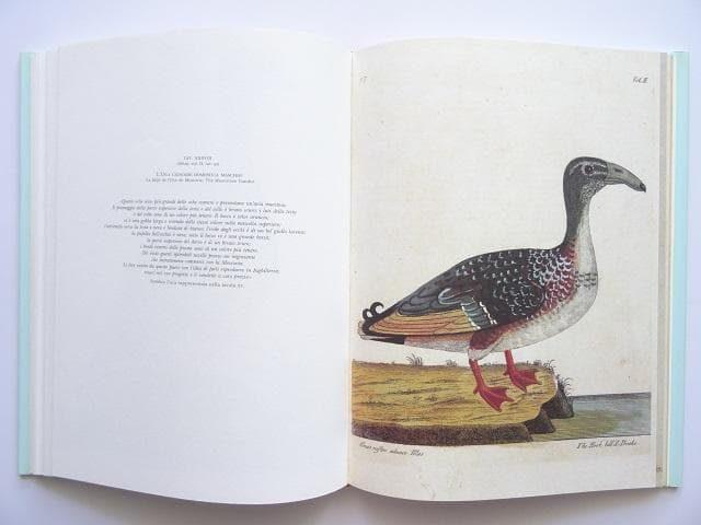 洋書◆鳥の画集 作品写真集 本 自然史