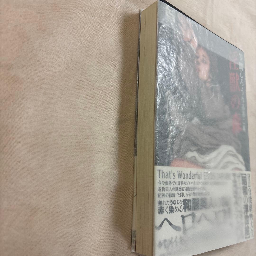 笠間しろう　コミック