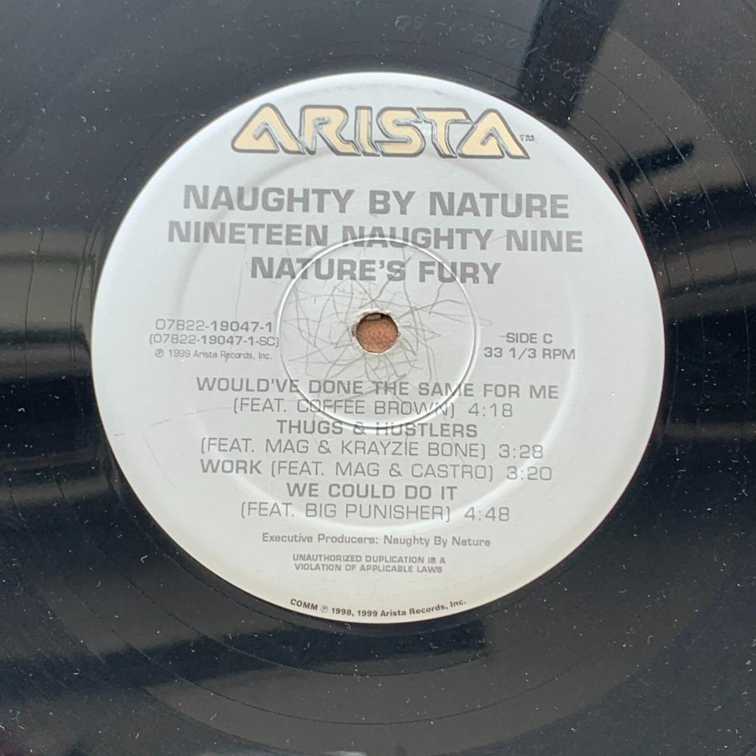 19 Naughty 9 /ノーティ・バイ・ネイチャー：LPレコード 12インチ