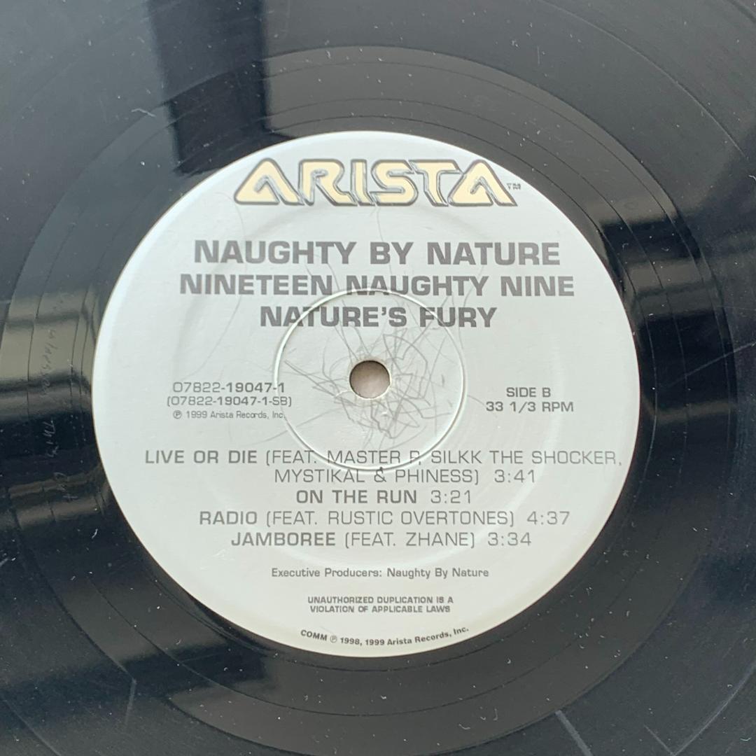 19 Naughty 9 /ノーティ・バイ・ネイチャー：LPレコード 12インチ