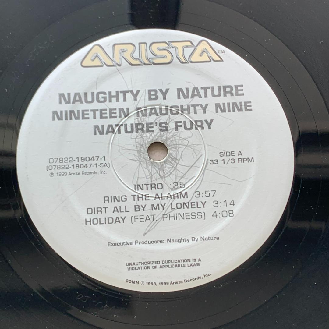 19 Naughty 9 /ノーティ・バイ・ネイチャー：LPレコード 12インチ