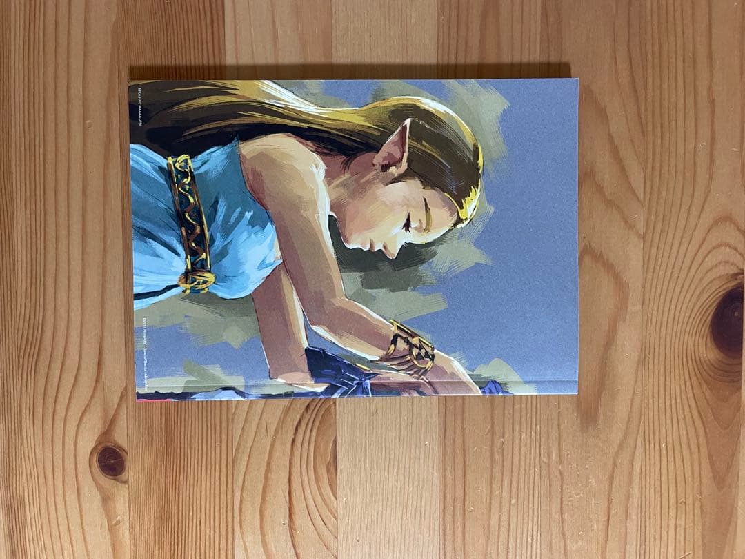 ゼルダの伝説　ブレスオブザワイルド switch プレミアム