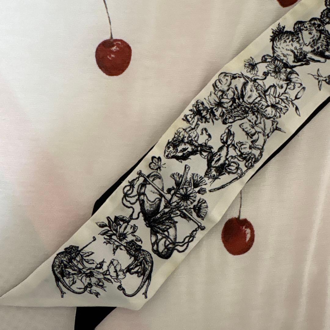Christian Dior ディオール ミッツァ