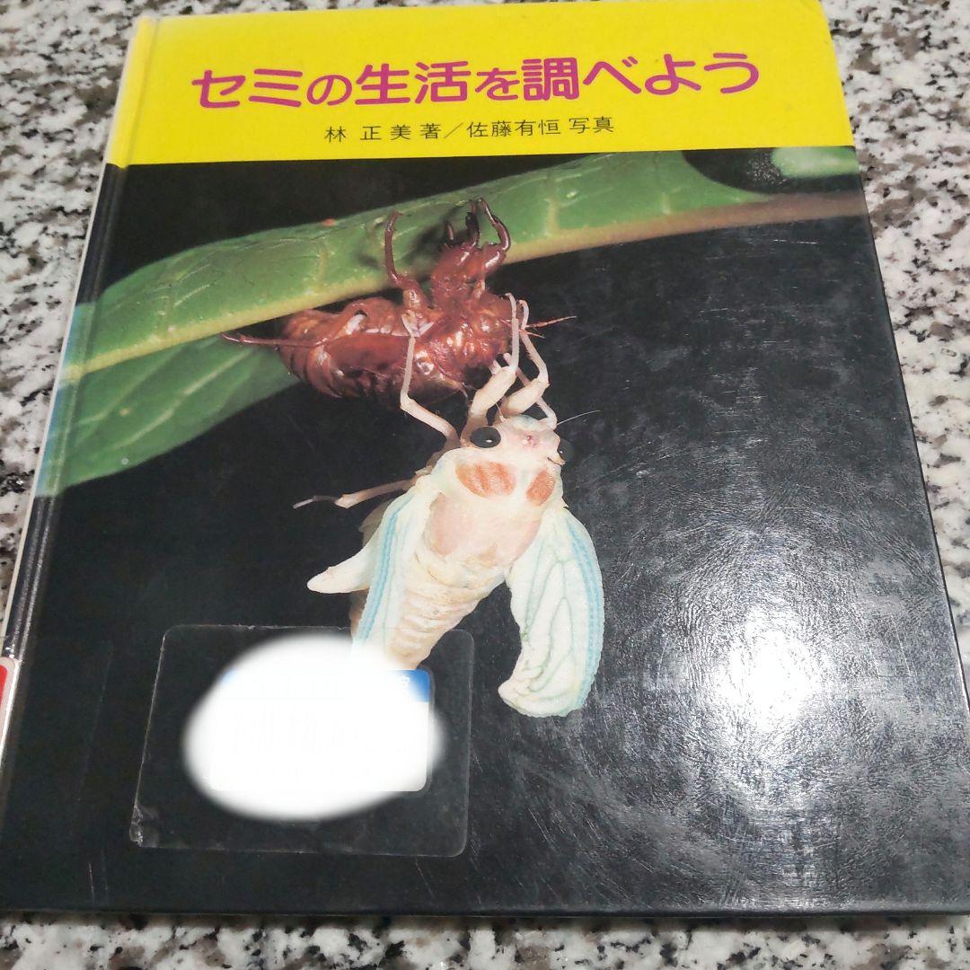 セミの生活を調べよう　林正美　佐藤有恒
さ・え・ら書房　やさしい科学　絵本　絶版