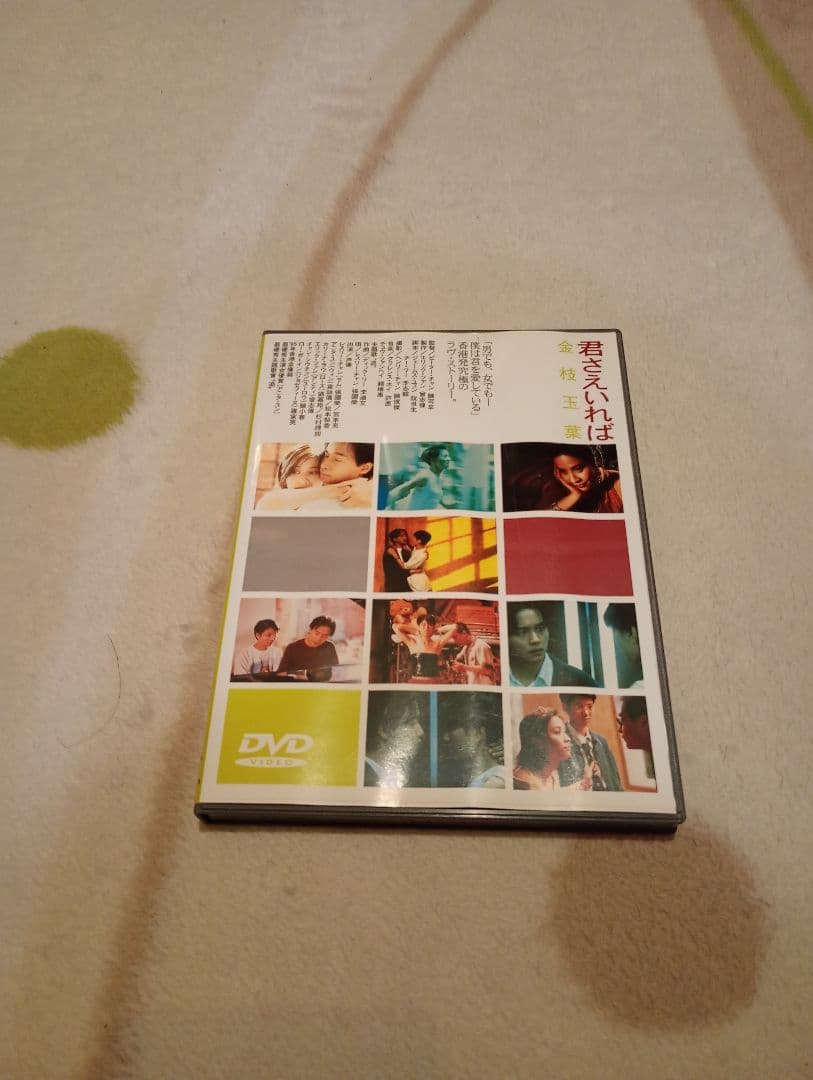 香港映画　君さえいれば 金枝玉葉DVD＋パンフレット＋チラシ