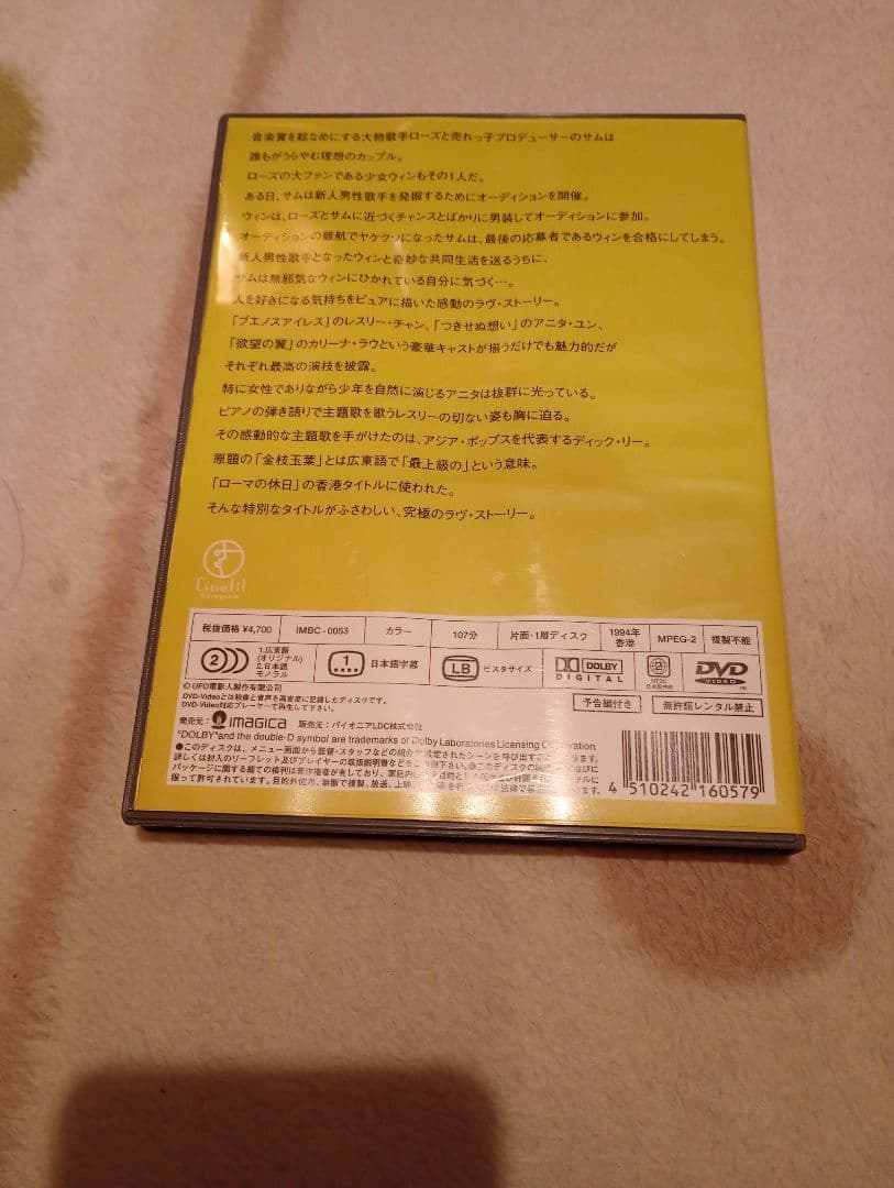 香港映画　君さえいれば 金枝玉葉DVD＋パンフレット＋チラシ
