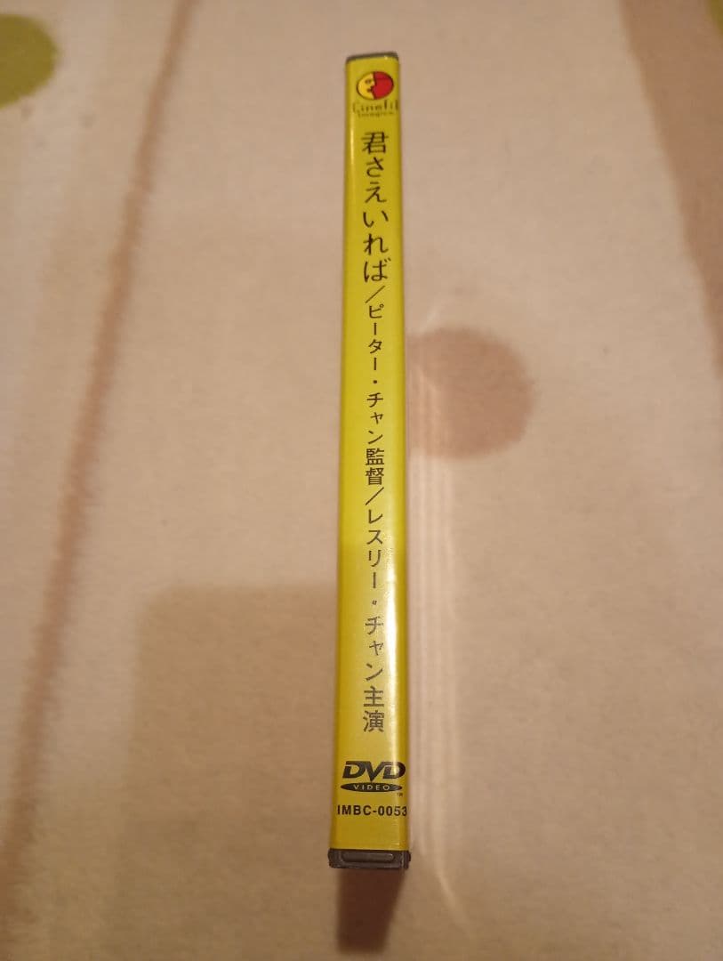 香港映画　君さえいれば 金枝玉葉DVD＋パンフレット＋チラシ