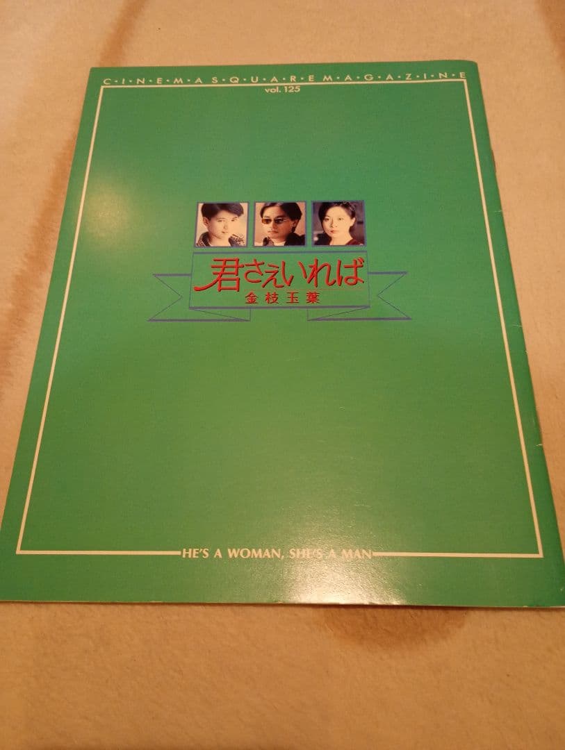 香港映画　君さえいれば 金枝玉葉DVD＋パンフレット＋チラシ