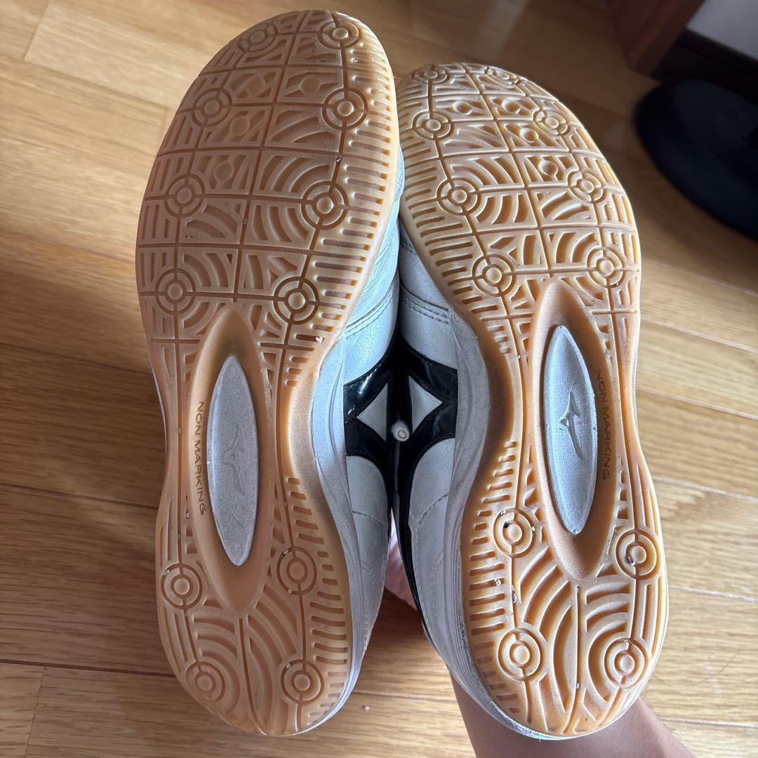 MIZUNO Professional Model フットサルシューズ