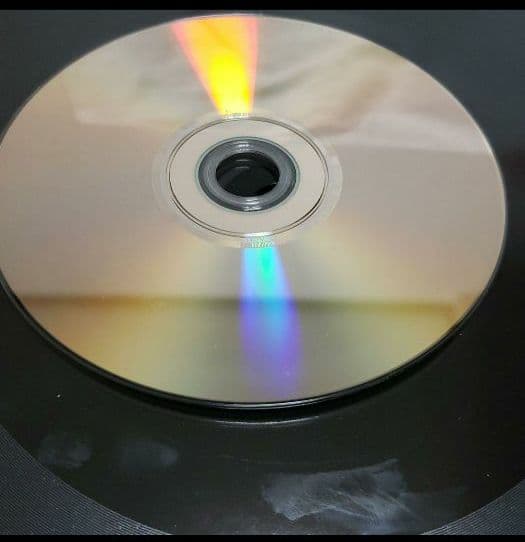 愚かな者の語ること　初回限定　グレイプバイン　CD　DVD　アナログ盤