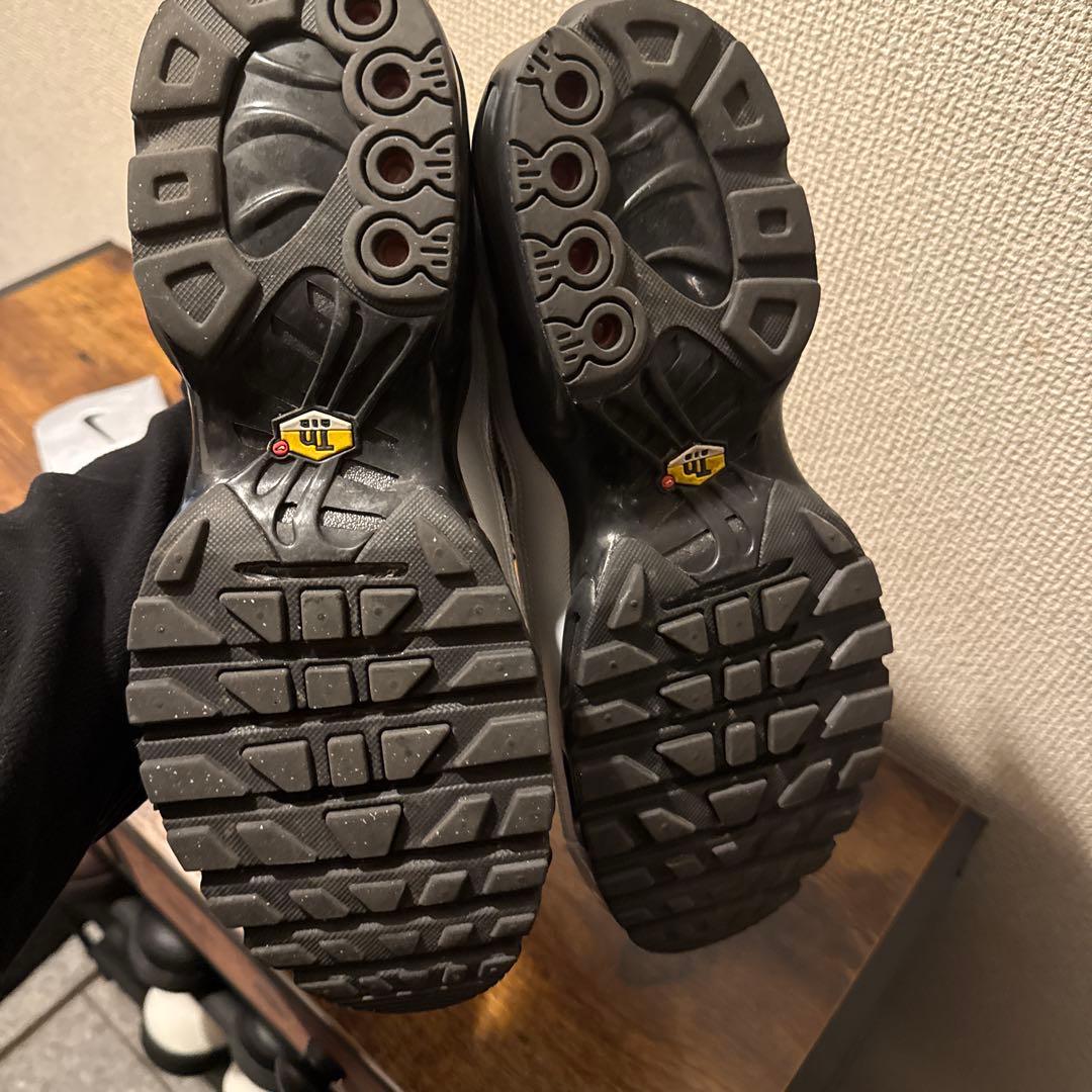 シューズ Nike Air Max Plus Tiempo