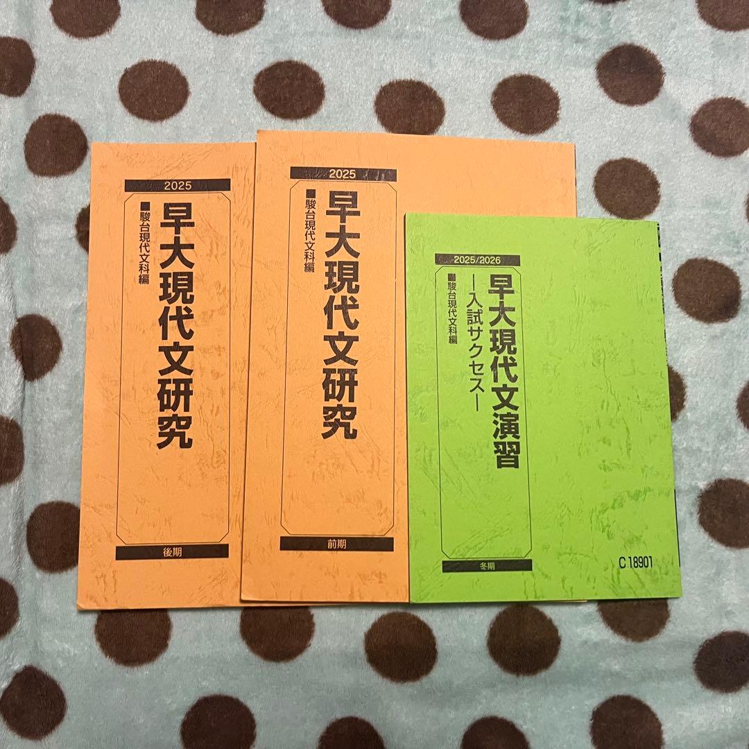 駿台 教科書 早稲田大学 慶應大学 早大 慶大 早慶大 まとめ売り