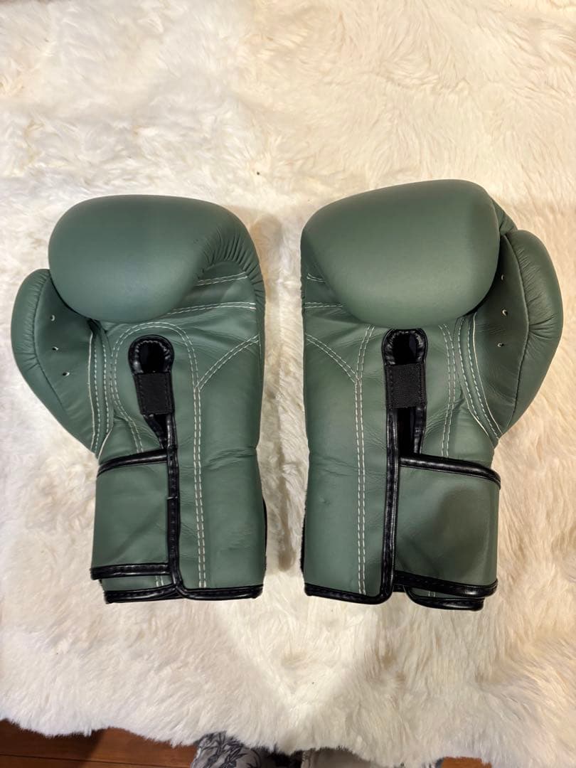 Fairtex F-DAY ボクシンググローブ 8oz グリーン フェアテックス
