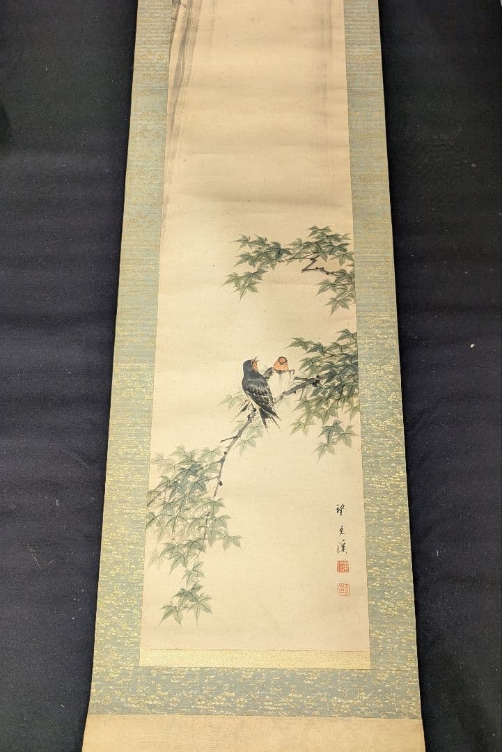 望月玉渓 望月玉泉 燕図 望月玉成 鑑題 日本画 花鳥画 茶掛軸 肉筆青楓飛爆図