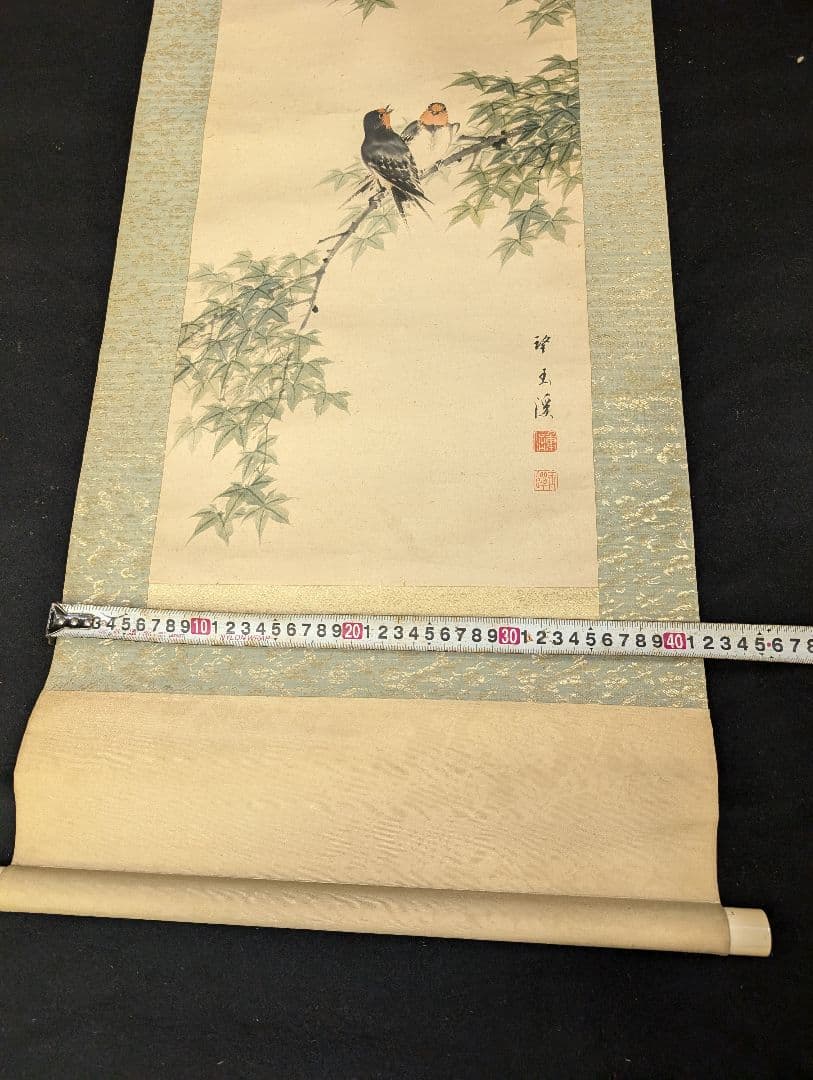 望月玉渓 望月玉泉 燕図 望月玉成 鑑題 日本画 花鳥画 茶掛軸 肉筆青楓飛爆図