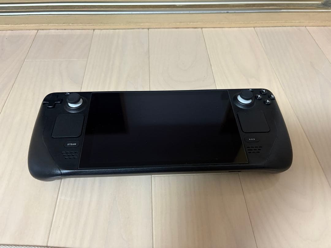 その他 Steam Deck 256GB