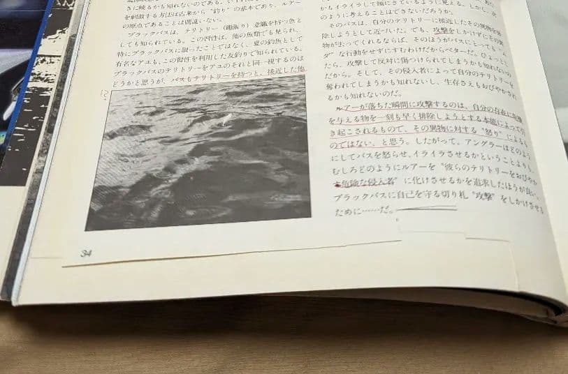 バスフリーク達におくる　オール　ザット　バッシング