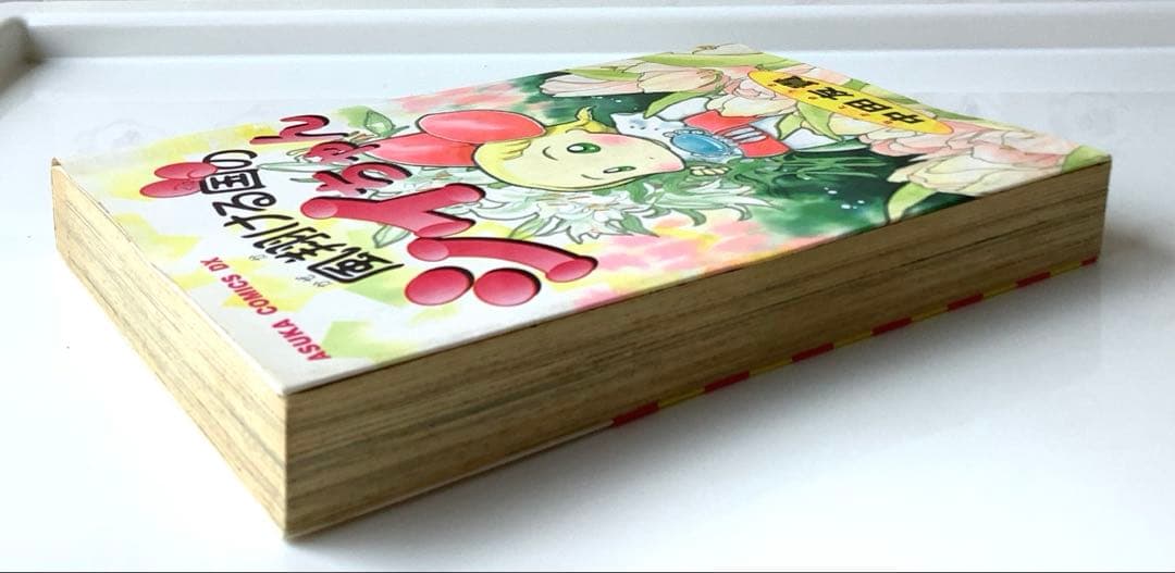風翔ける国のシイちゃん DX版　レア　中田友貴　希少