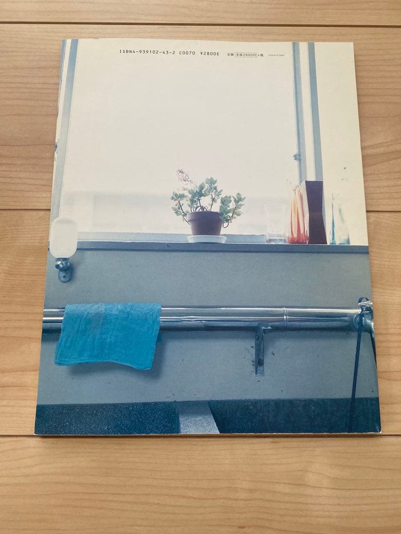 川内倫子写真集『blue』市川実日子 魚喃キリコ