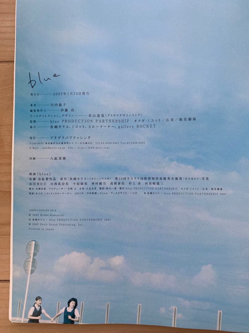 川内倫子写真集『blue』市川実日子 魚喃キリコ