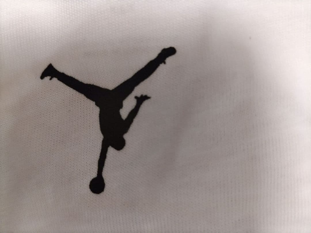 ジョーダン スポーツ85 DRI-FIT グラフィック Tシャツ : 010