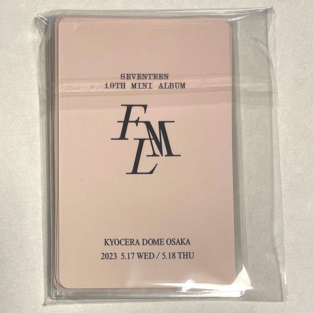 【新品未使用】 SEVENTEEN セブチ 来場者限定 大阪 LOVE コンプ