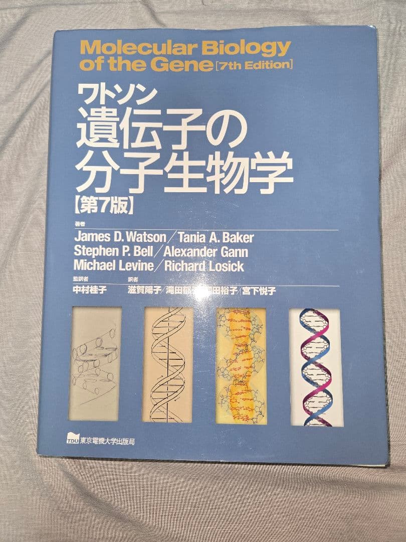 ワトソン遺伝子の分子生物学【第7版】美品　書き込みなし