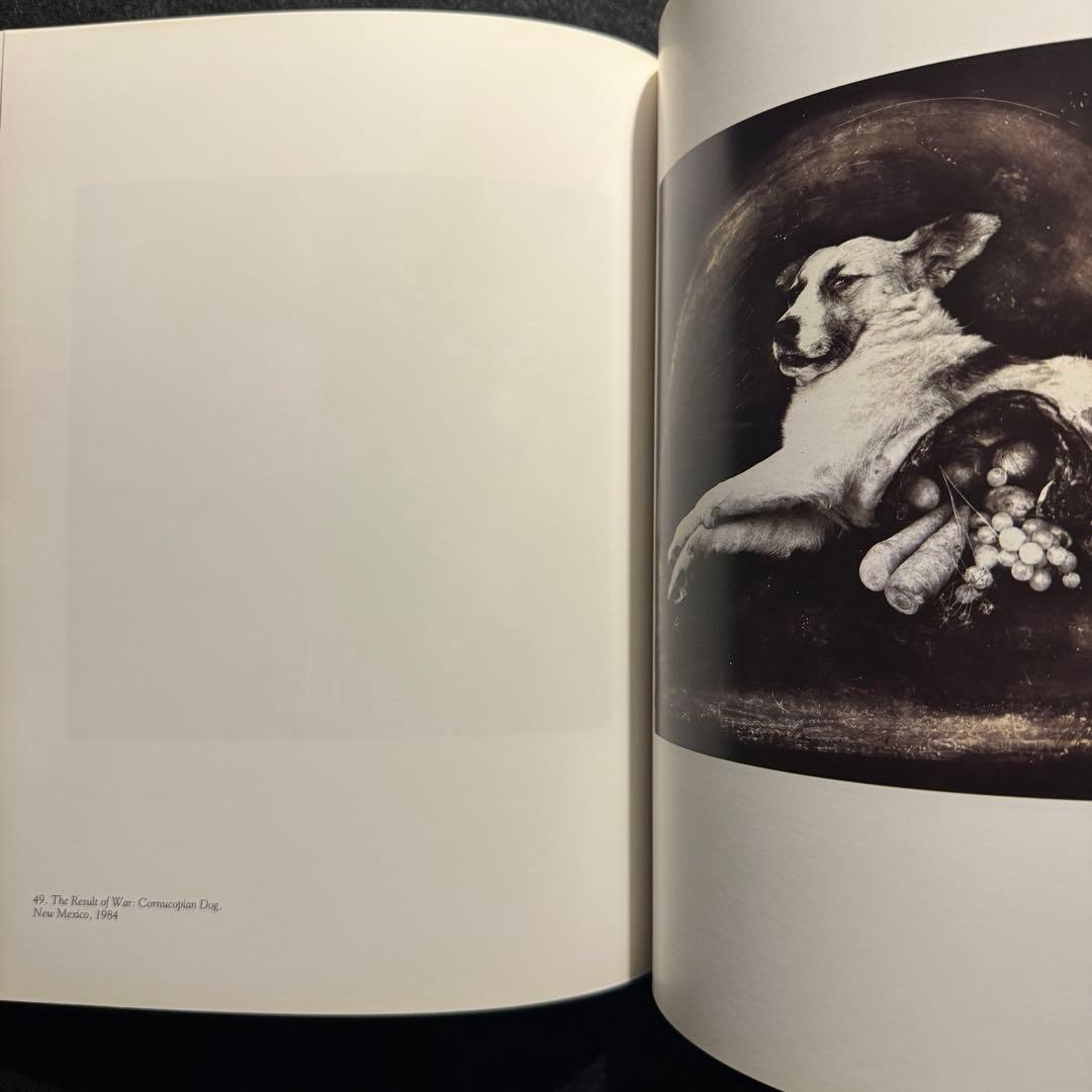 JOEL-PETER-WITKIN　ジョエル＝ピーター・ウィトキン　洋書