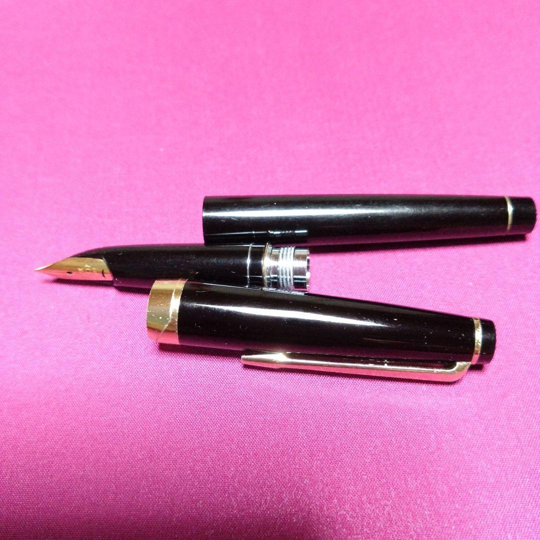 18K 万年筆　PILOT パイロット Elite エリート