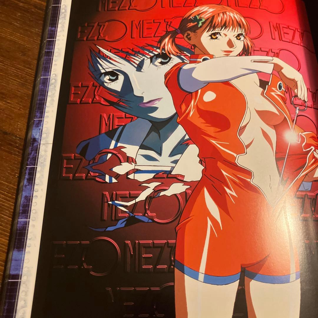 メゾパーフェクトファイル