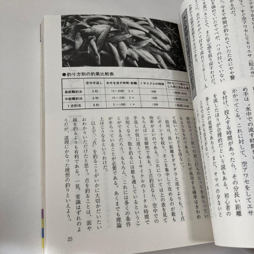 点を釣るスピード釣法: ヤマベ(ハエ) ★送料込価格★