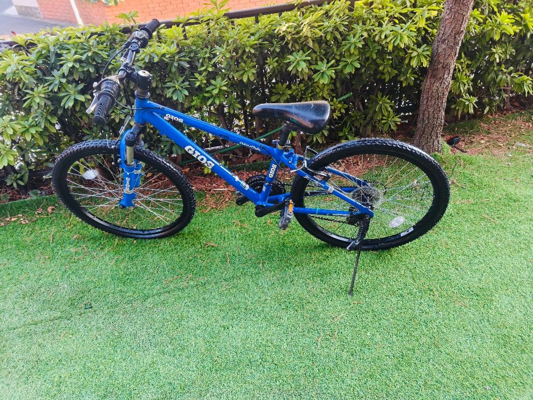 セ*ラ様 GIOS Genova 24 size ジュニア自転車 青