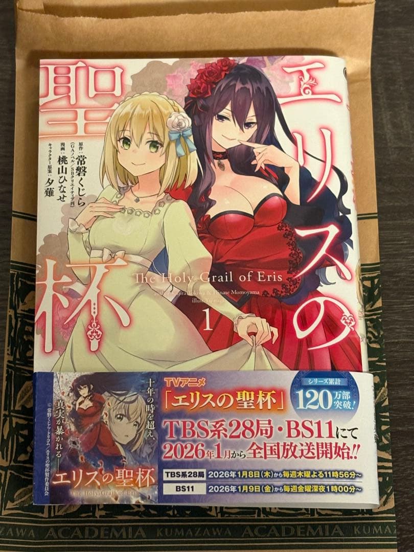 エリスの聖杯　1〜14 セット