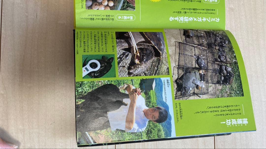 ㉔生き物 図鑑 19冊セット まとめ売り 外来生物/昆虫/恐竜/最強王/危険生物