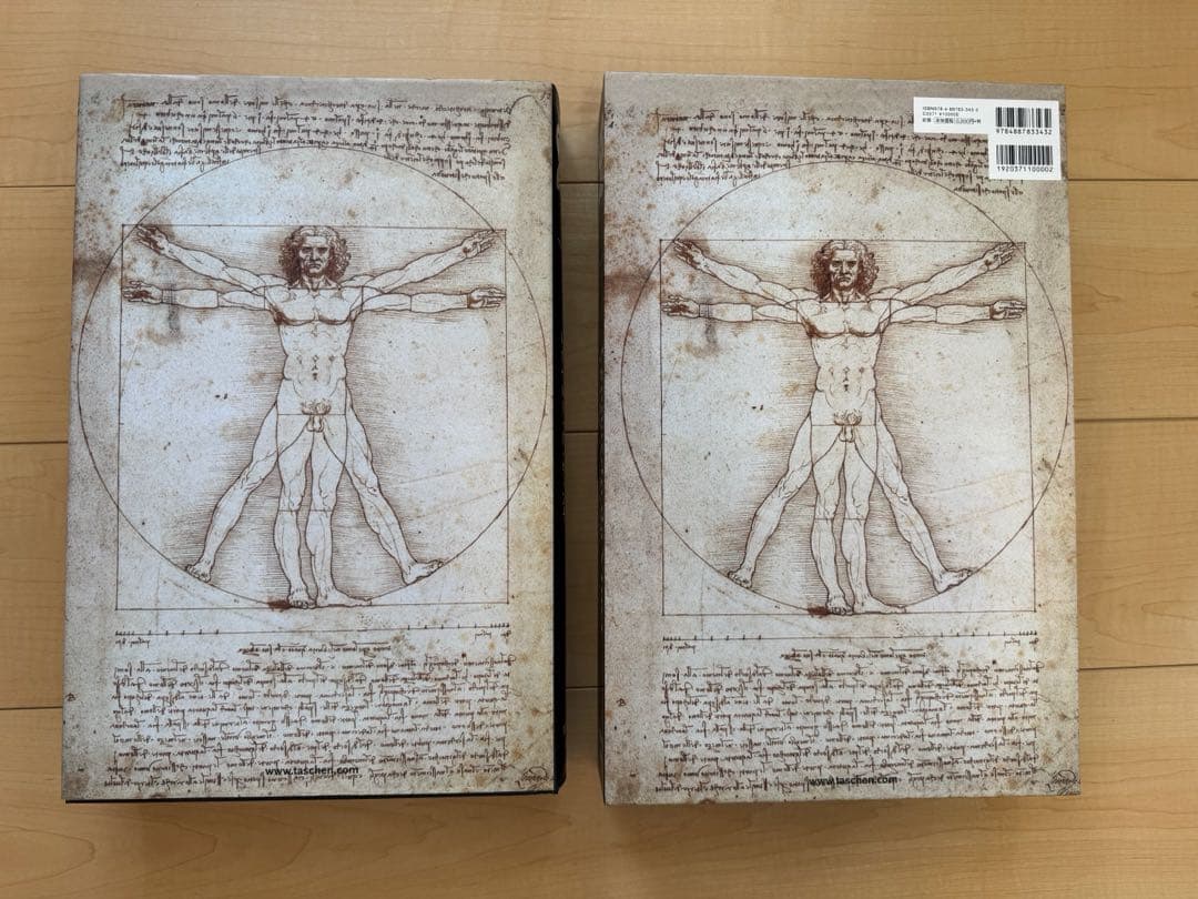 Leonardo da Vinci 全絵画作品・素描集