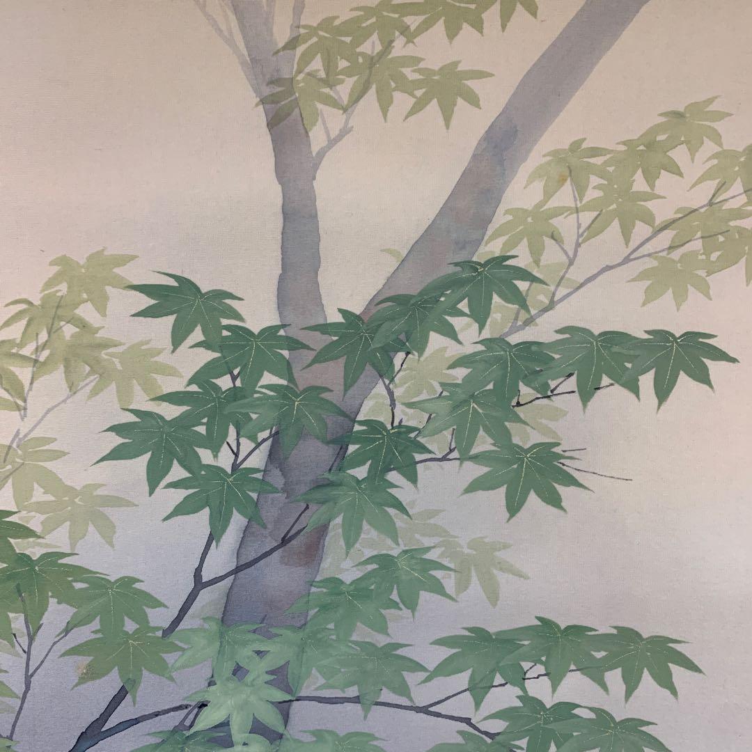 美品 掛け軸 塩田祥恒作 青楓図 共箱 花鳥