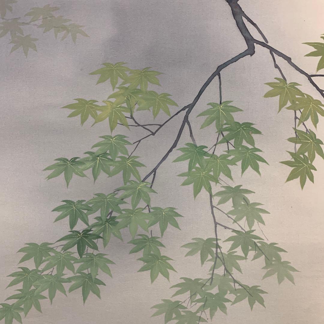 美品 掛け軸 塩田祥恒作 青楓図 共箱 花鳥