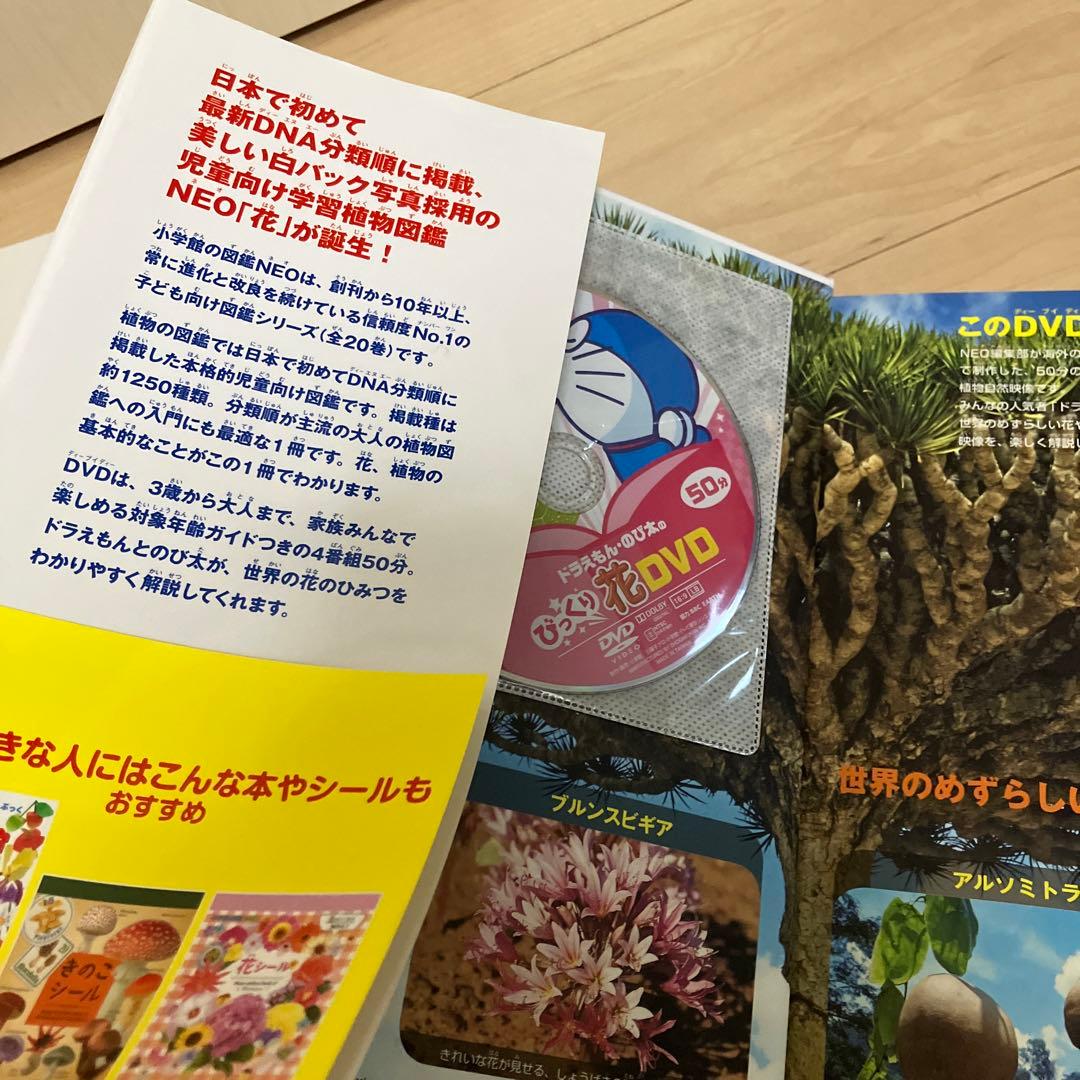 新品あり 小学館の図鑑 NEO 植物 DVD付き昆虫、魚、花